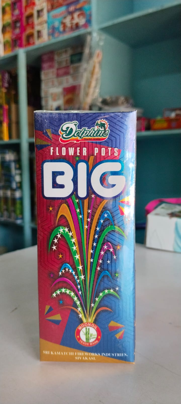 Flower Pots Big (10 Pcs)